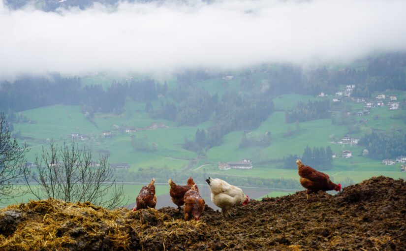 Alles unter Kontrolle?